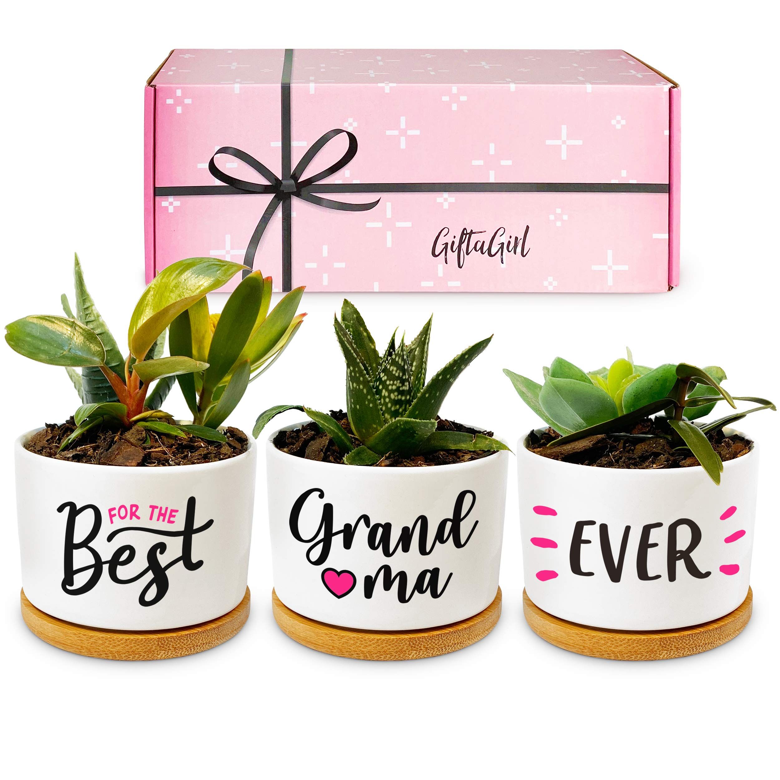 Mothers day store gifts for gran