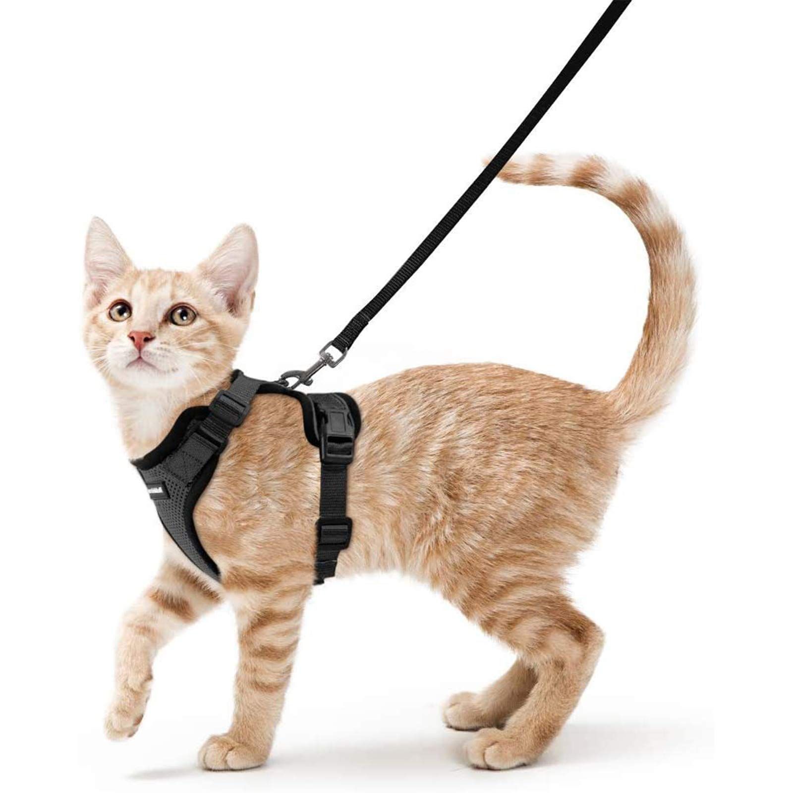 Cat harnesses for outlet large cats