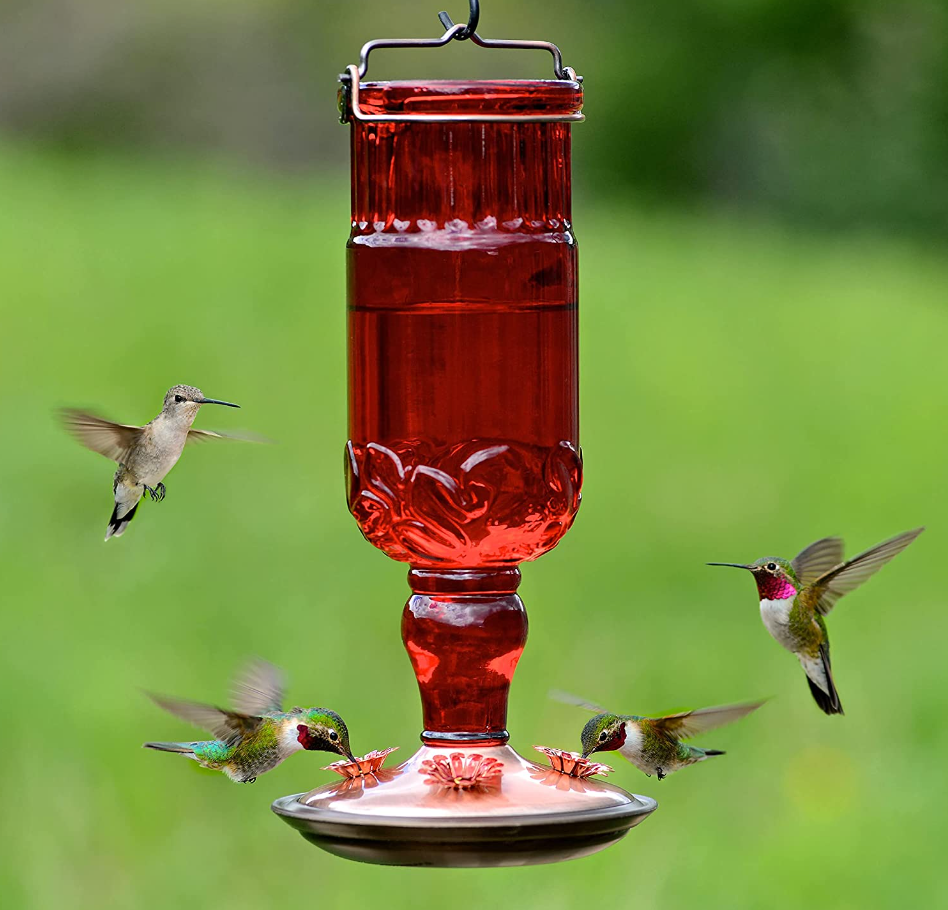 Pemakan Burung Kolibri Botol Antik Merah