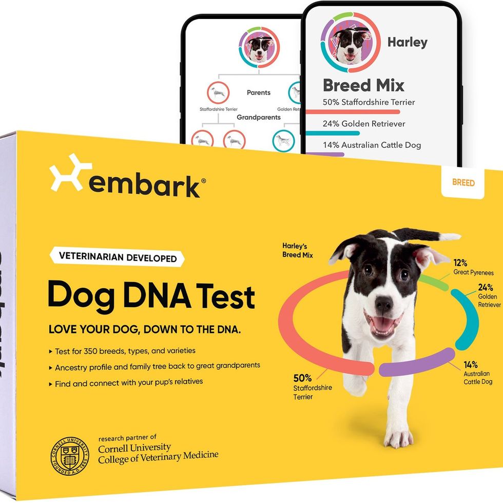 Embark Breed Identification DNA Test
