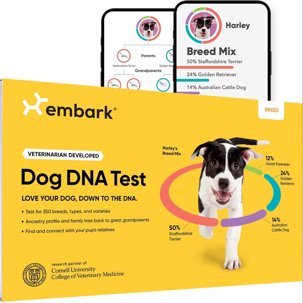 Embark Breed Identification DNA Test