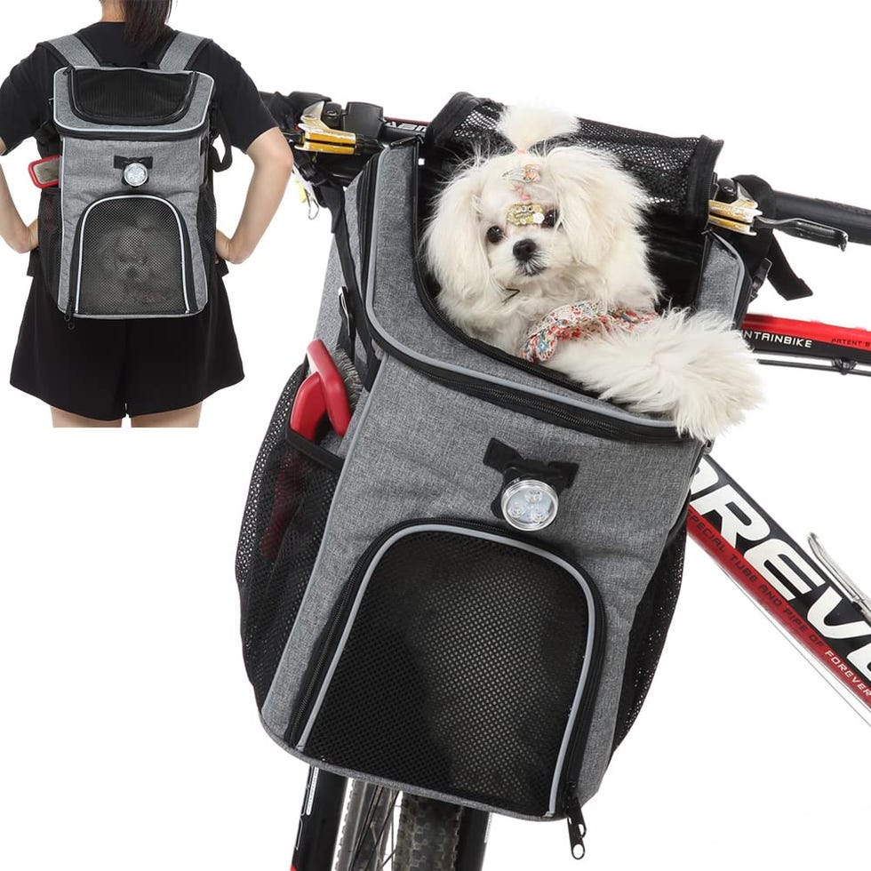 Bolsos de viaje y transportines para perros bonitos y seguros