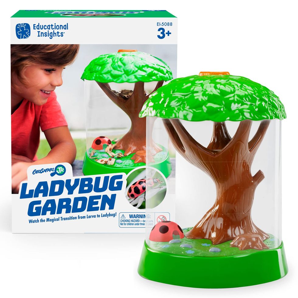 The best Christmas gifts for 3-5 year olds 2020 - Ladybirds
