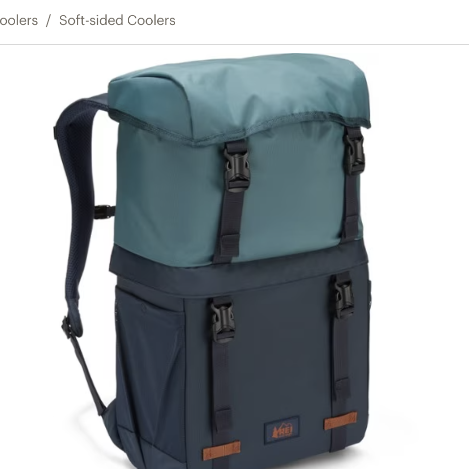 The 7 Best Backpack Coolers of 2023, Tested and Reviewed