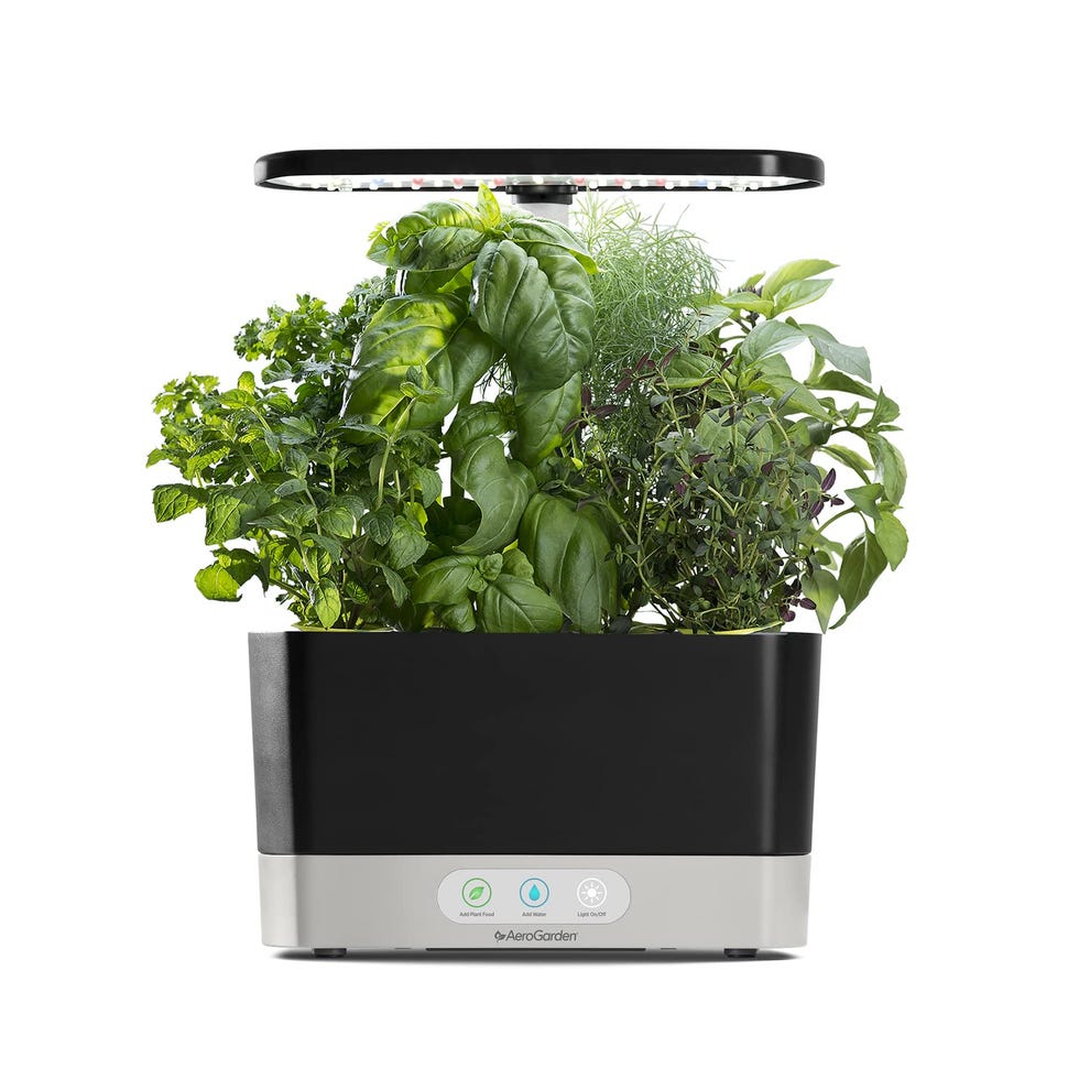 Hydroponic Indoor Garden Hydroponic Indoor Garden