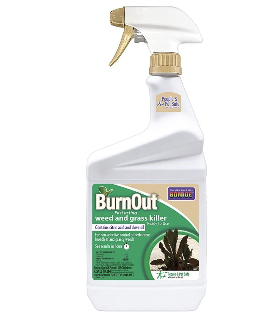 Bonide Burn Out Weed and Grass Killer