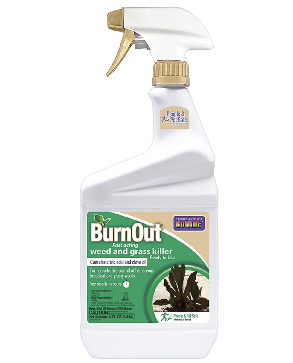 Bonide Burn Out Weed and Grass Killer