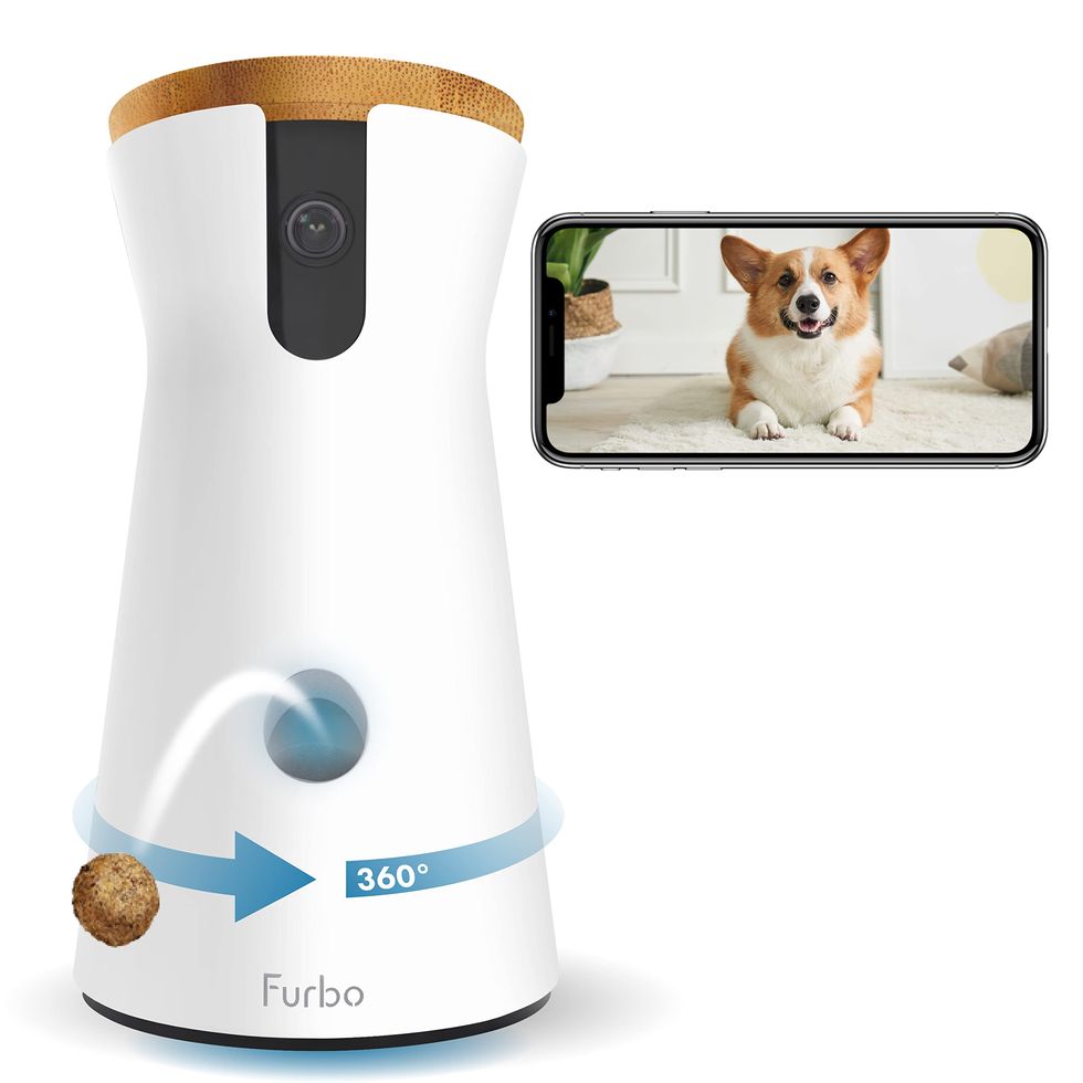 Caméra pour chien 360°