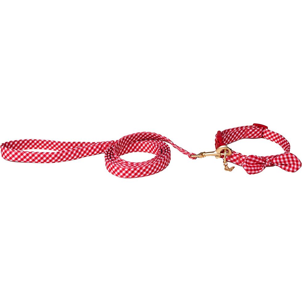Dog Harnesses and Leash/Collar Set