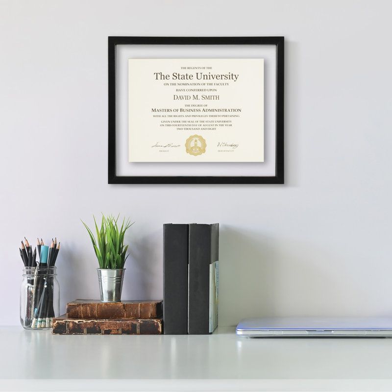 Aishe Floating Document Picture Frame