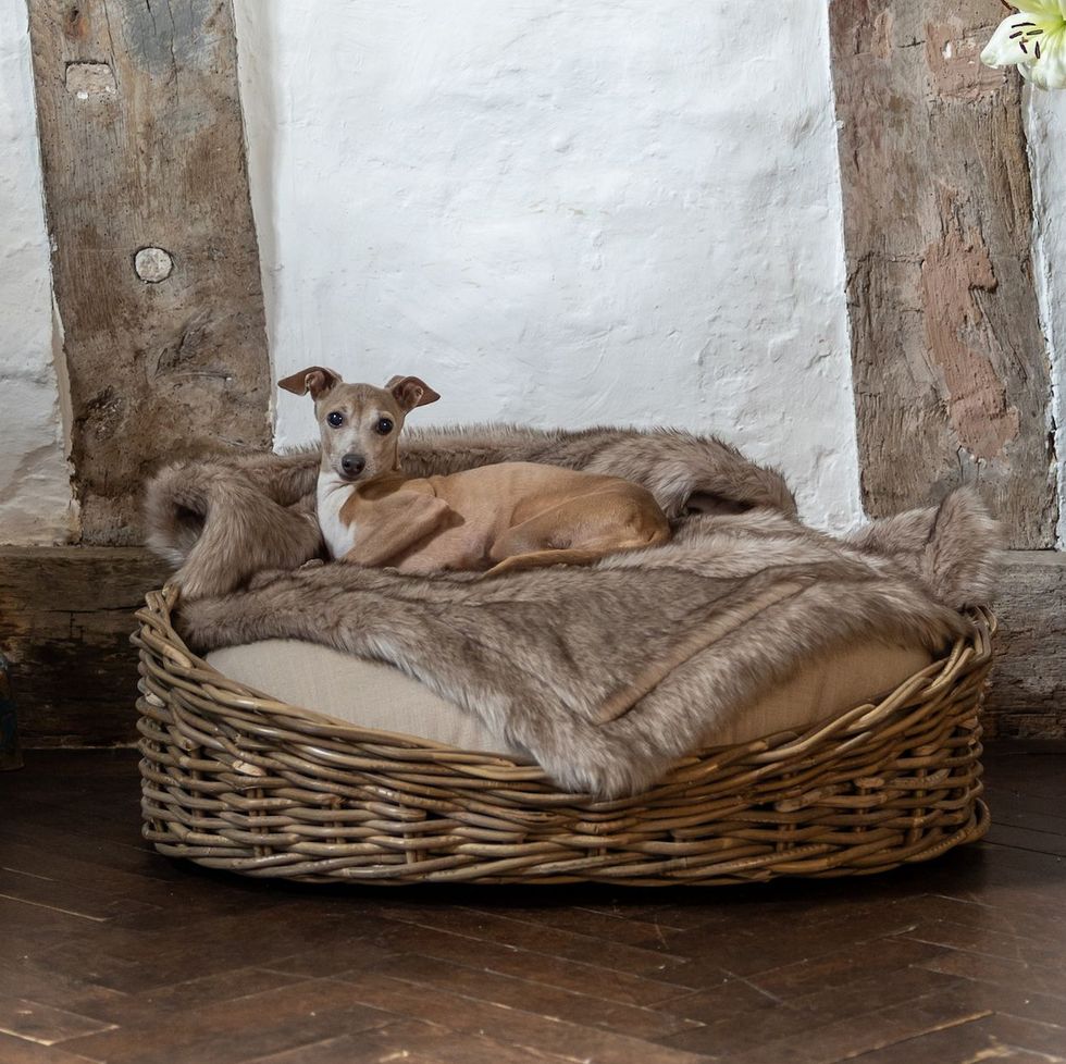 Oval Rattan Dog Basket - Greywash