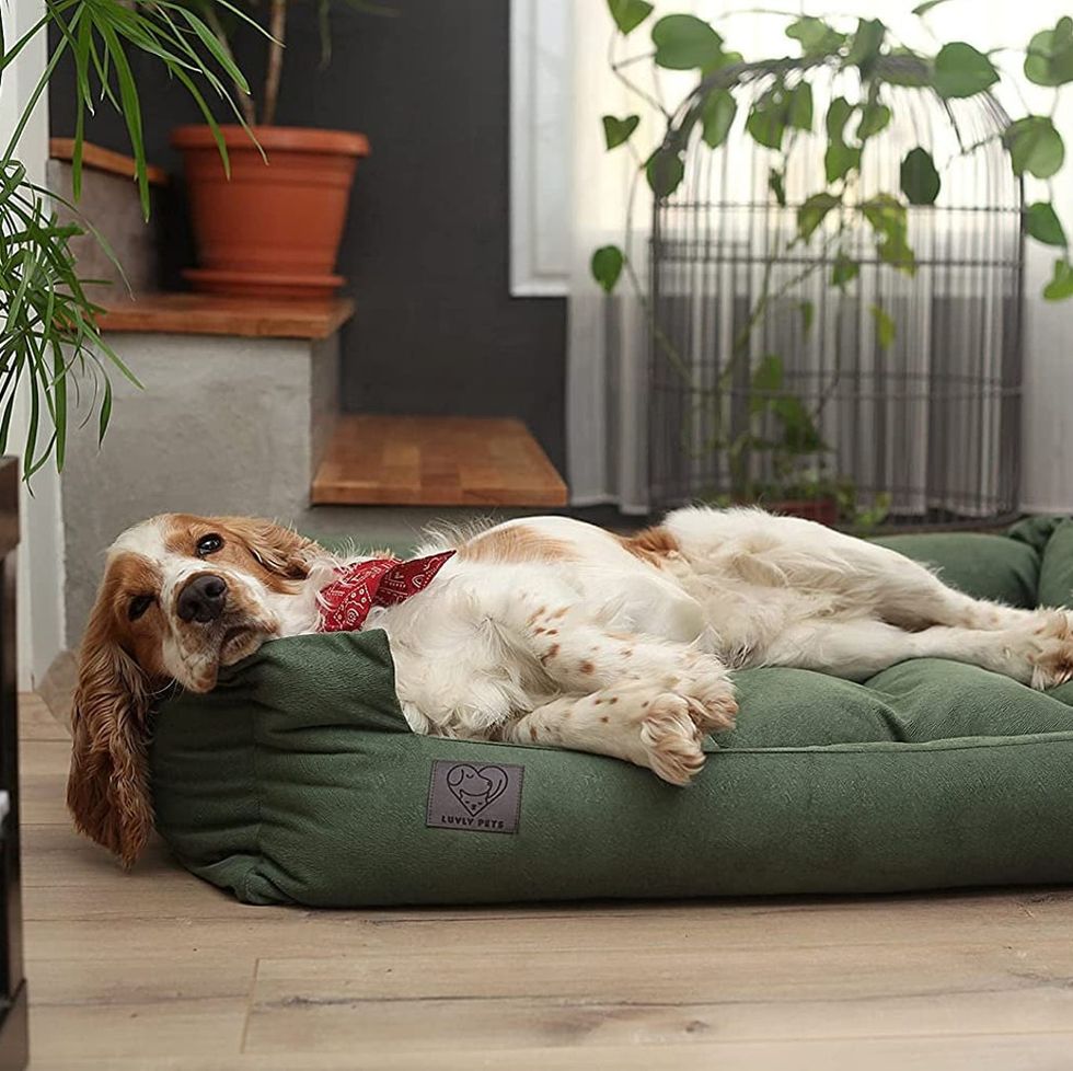 Handmade Luxury Orthopaedic Dog Bed