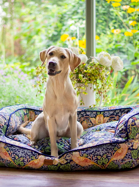 10 Luxury Dog Beds To Spoil Your Pet With | Best Dog Beds 2023