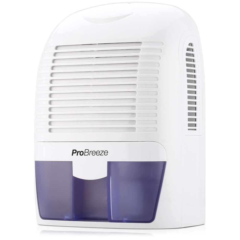 The 7 Best Small Dehumidifiers for 2024 - Top Small Dehumidifier for  Bathrooms