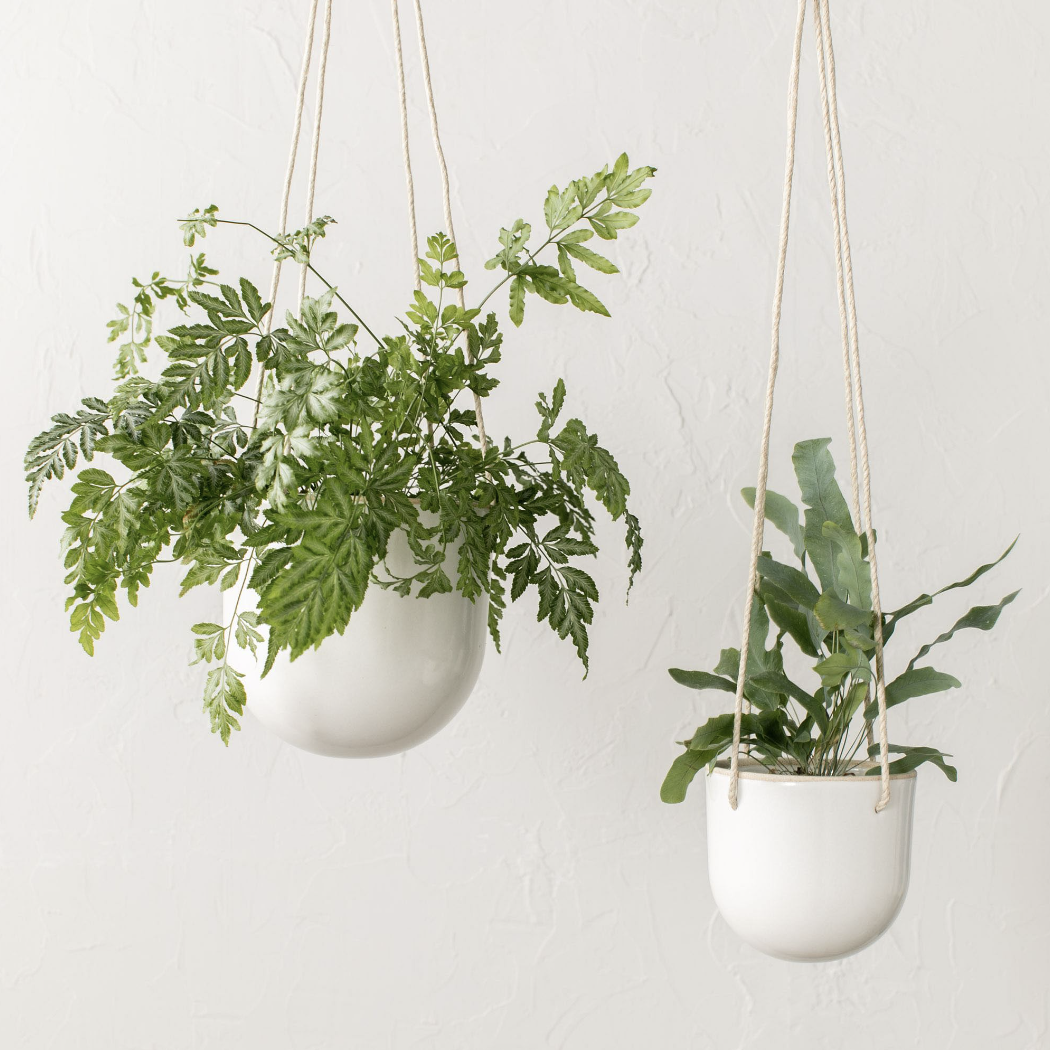 20 Best Indoor Hanging Planters Of 2023