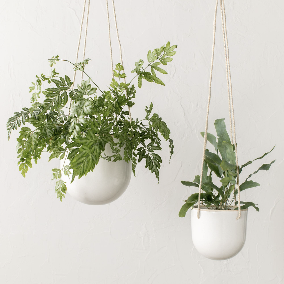 Sociable arched hanging planter