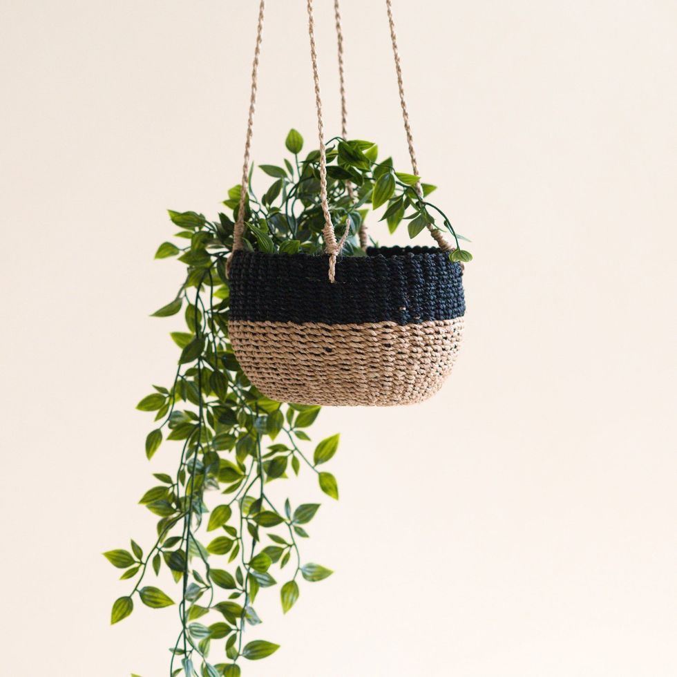 Color block hanging planter