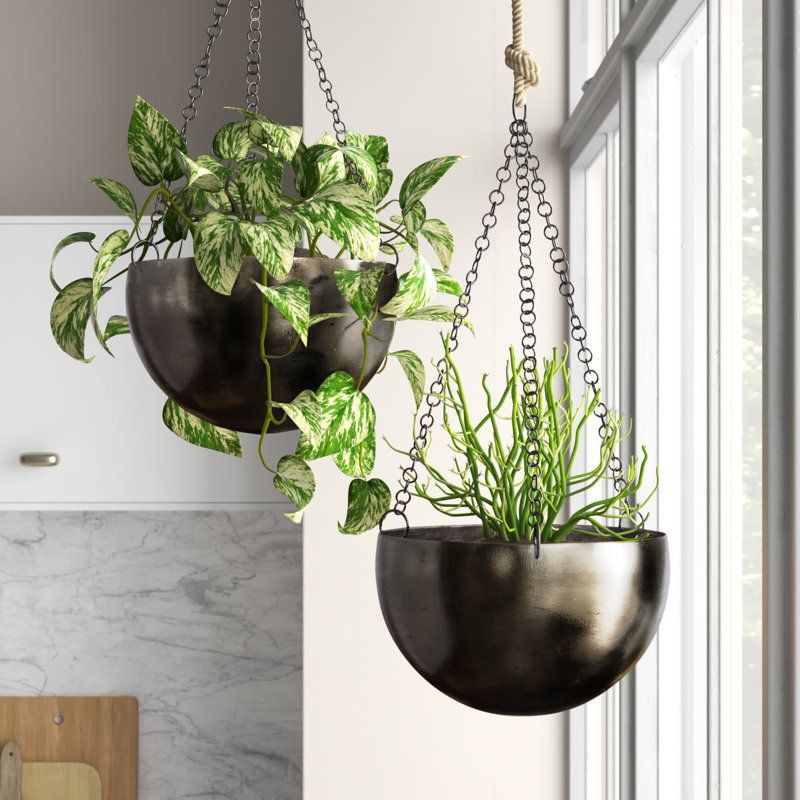 Hanging plant outlet holders indoor