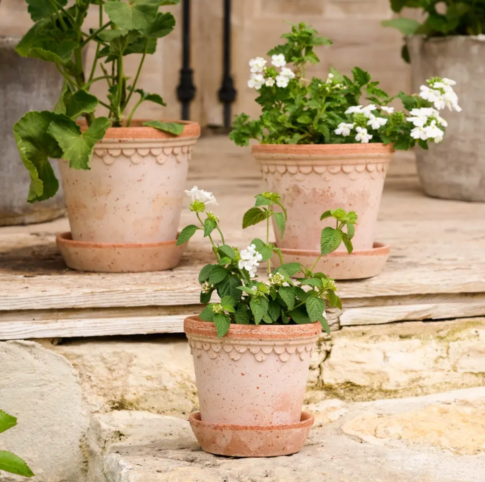 Terracotta Bergs Pot