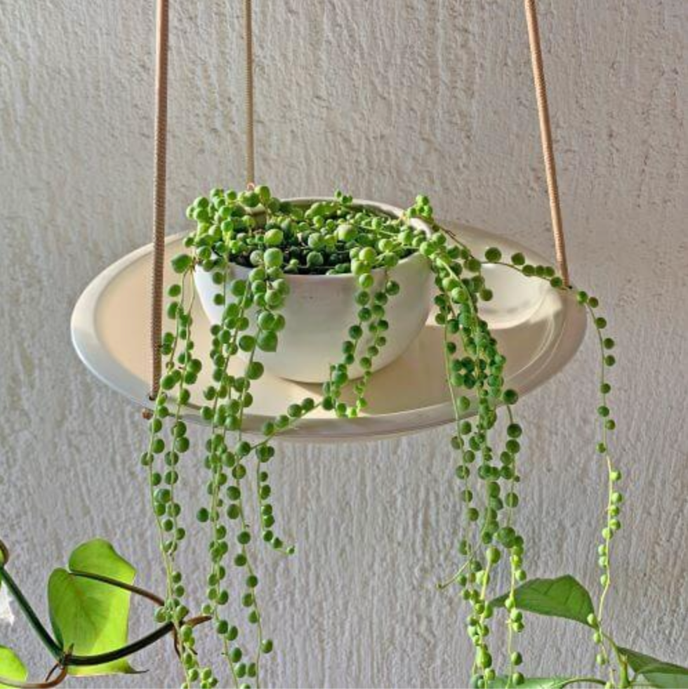 Metal Plant Hanger