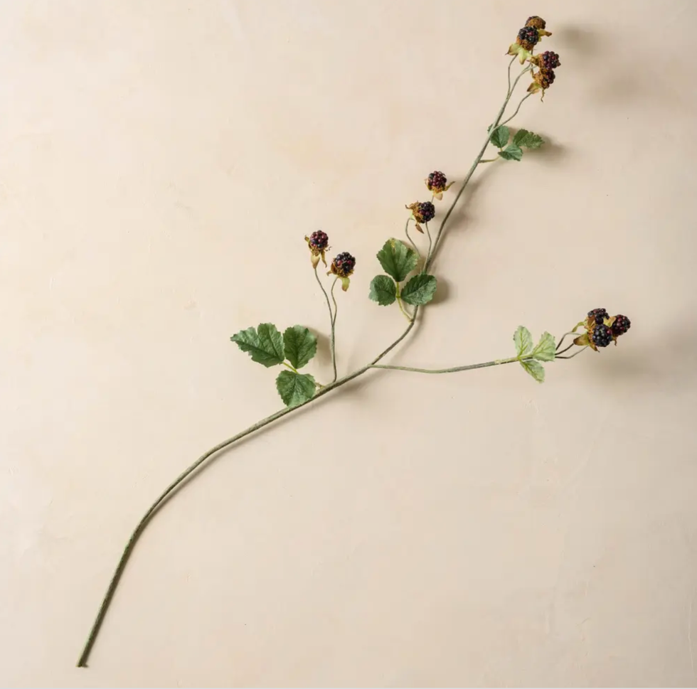 Blackberry Bush Spray