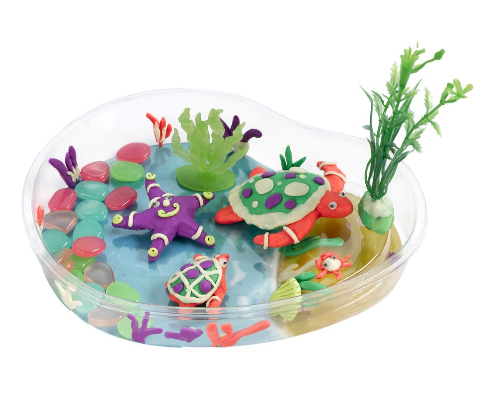 Create with Clay Turtle Lagoon