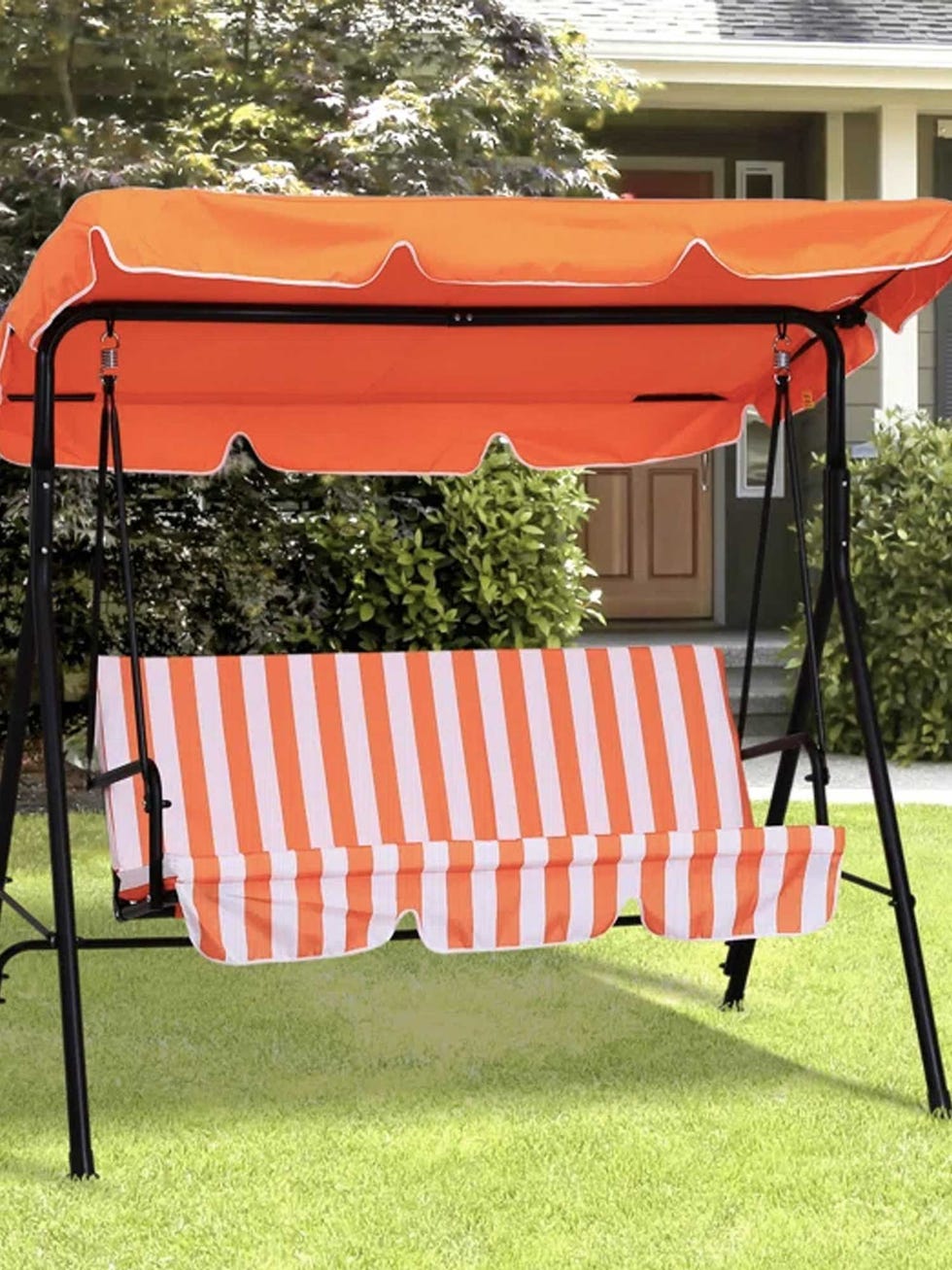 Arica Porch Swing with Canopy