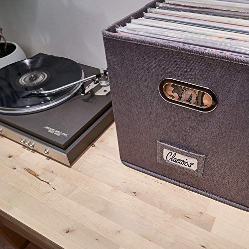 Vinyl Record Storage Box, Set of 2