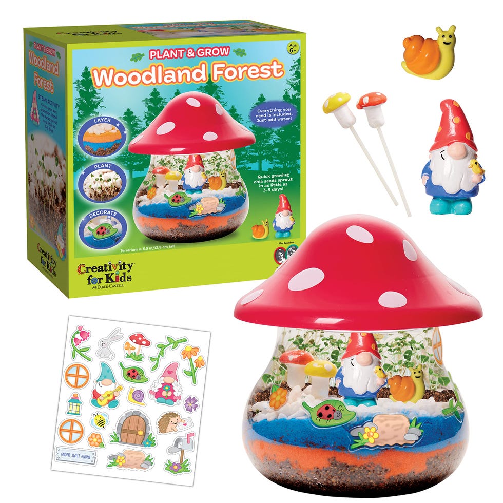 Woodland Forest Terrarium Kit 