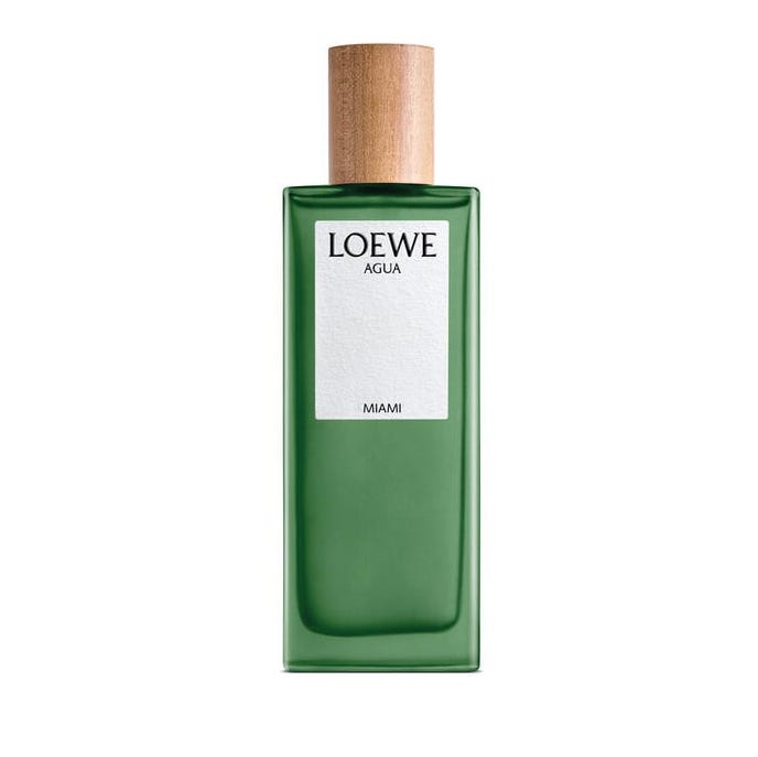 Loewe Loewe