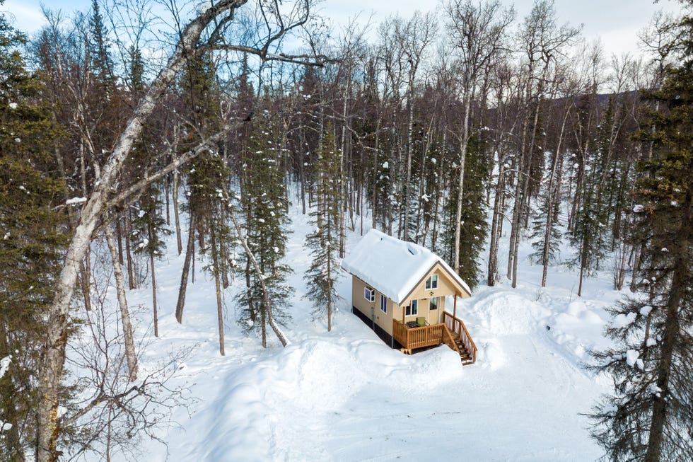 Talkeetna Tiny Cabin