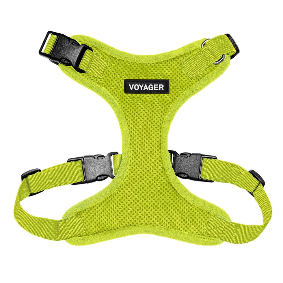 Voyager Step-in Lock Pet Harness