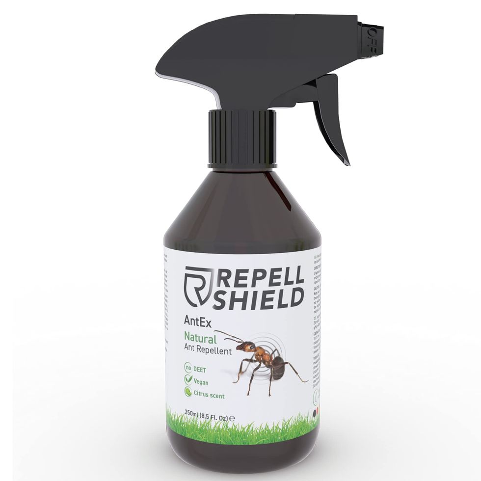 RepellShield Ant Spray Indoors & Outdoor Insect Repellent Spray