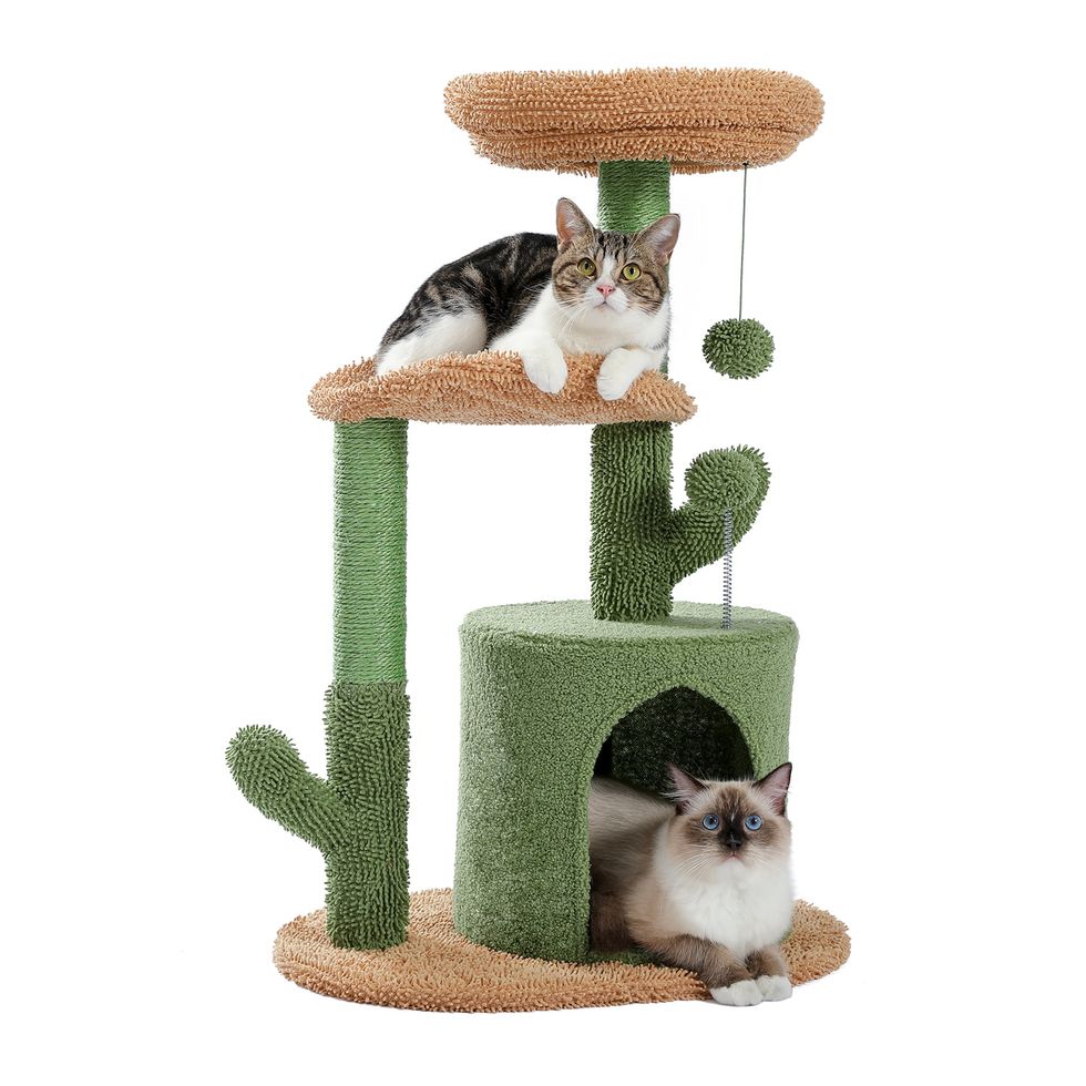 Cat Tree Tower with Cactus Scratching Posts