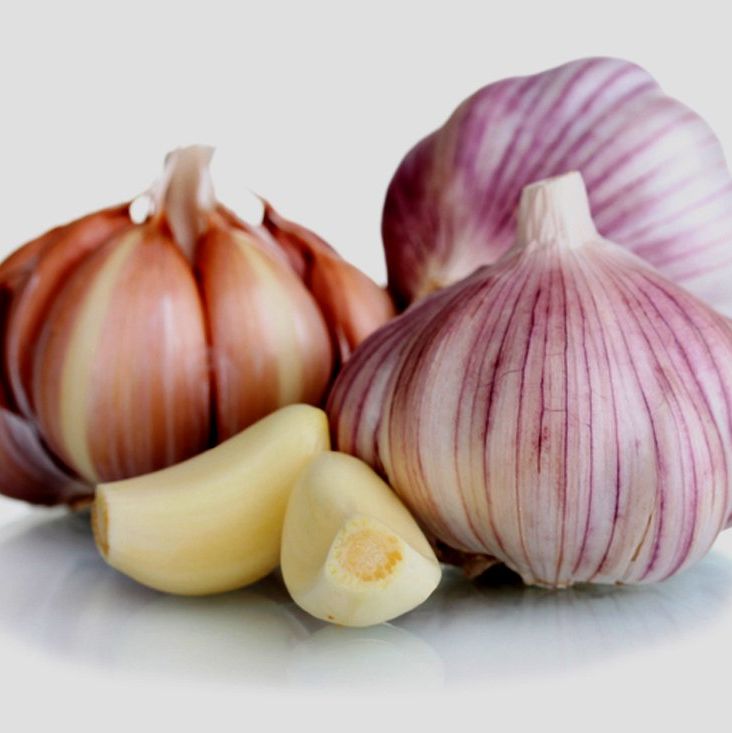 Siberian Hardneck Garlic