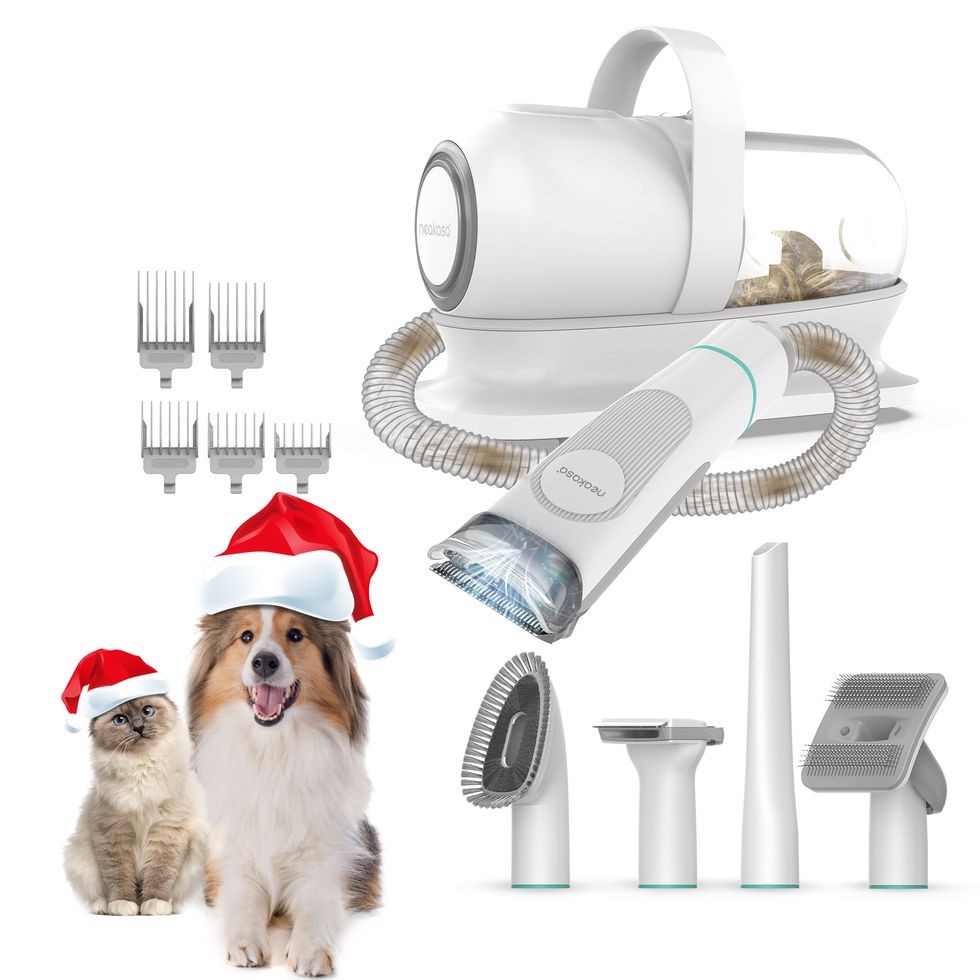 P1 Pro Pet Grooming Kit & Vacuum 