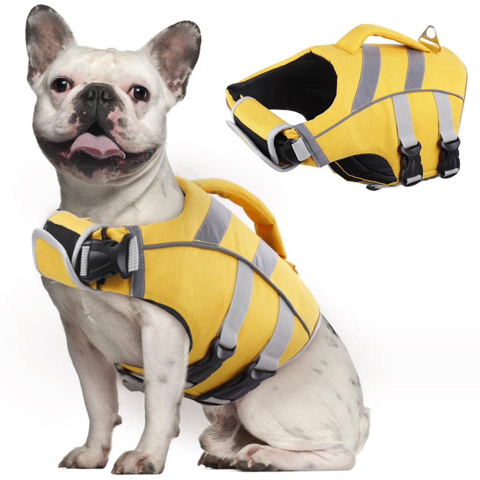 Dog Life Jacket with Reflective Stripes Dog Life Jacket with Reflective Stripes