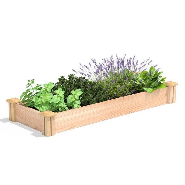 Greenes Fence Tingsley Cedar Wood Raised Garden