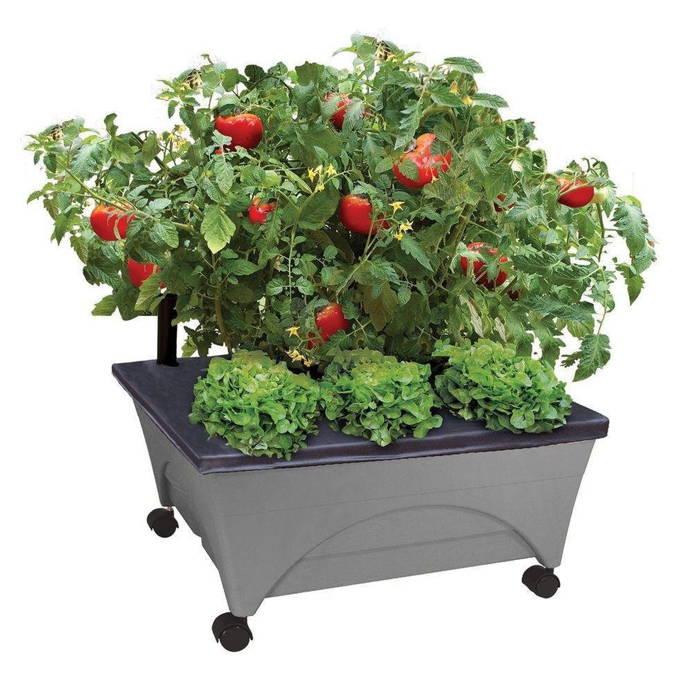 Emsco Group City Picker Raised Bed Grow Box