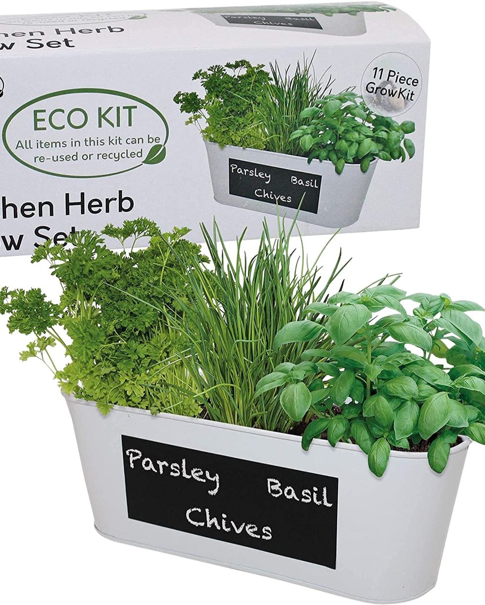 Pronto Seed Grow Your Own Herbs Kit 