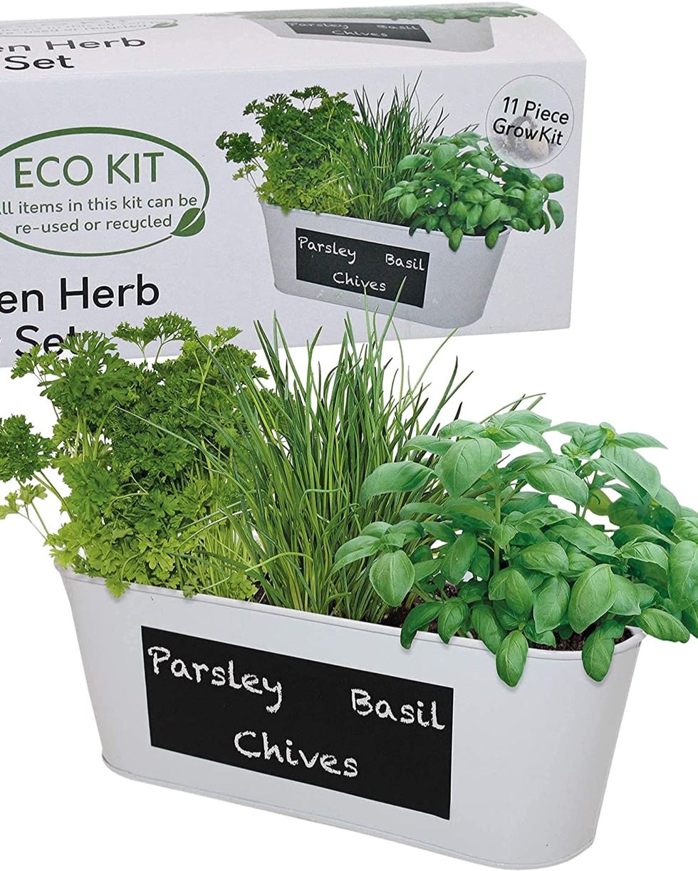 Pronto Seed Grow Your Own Herbs Kit 