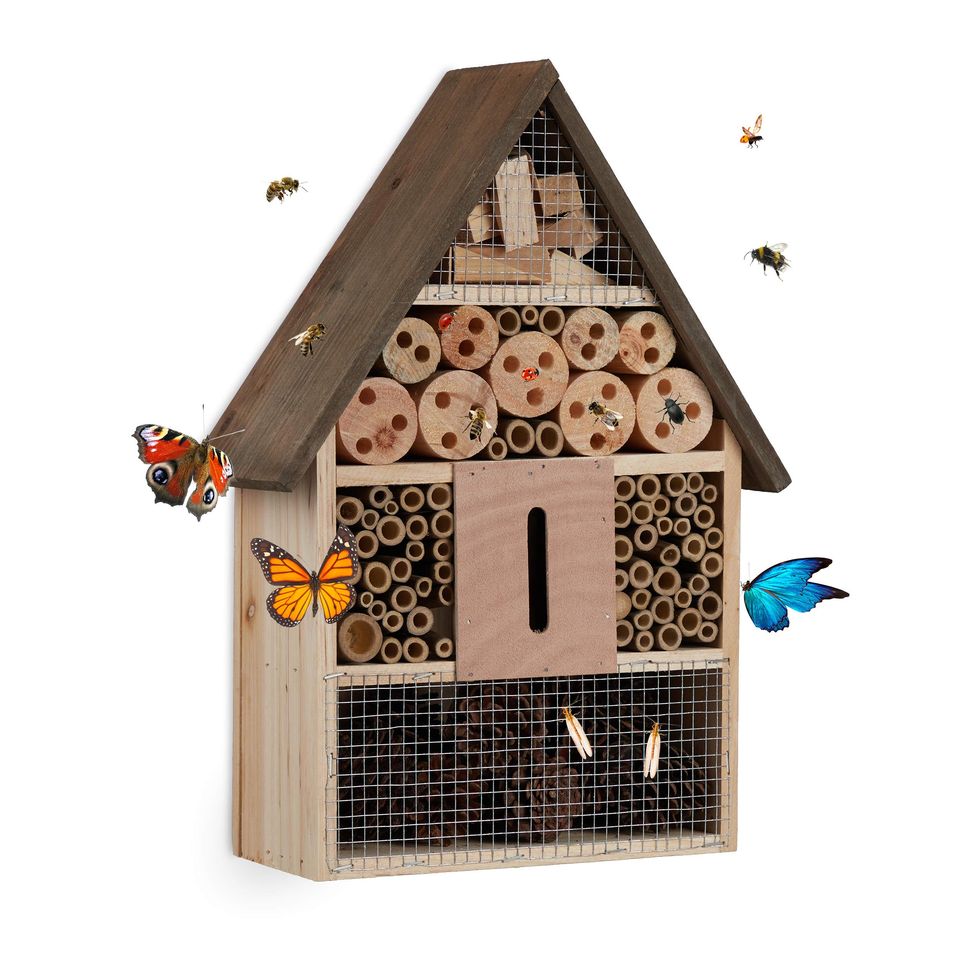 Cómo hacer una casa para pájaros con materiales reciclados fácil y