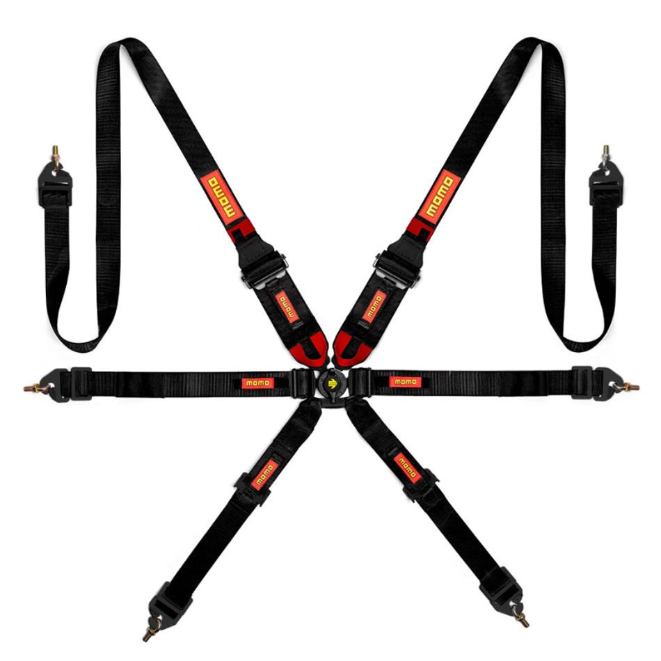 6 Point Harness 
