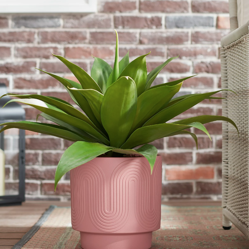 Amy Pink Wave Planter