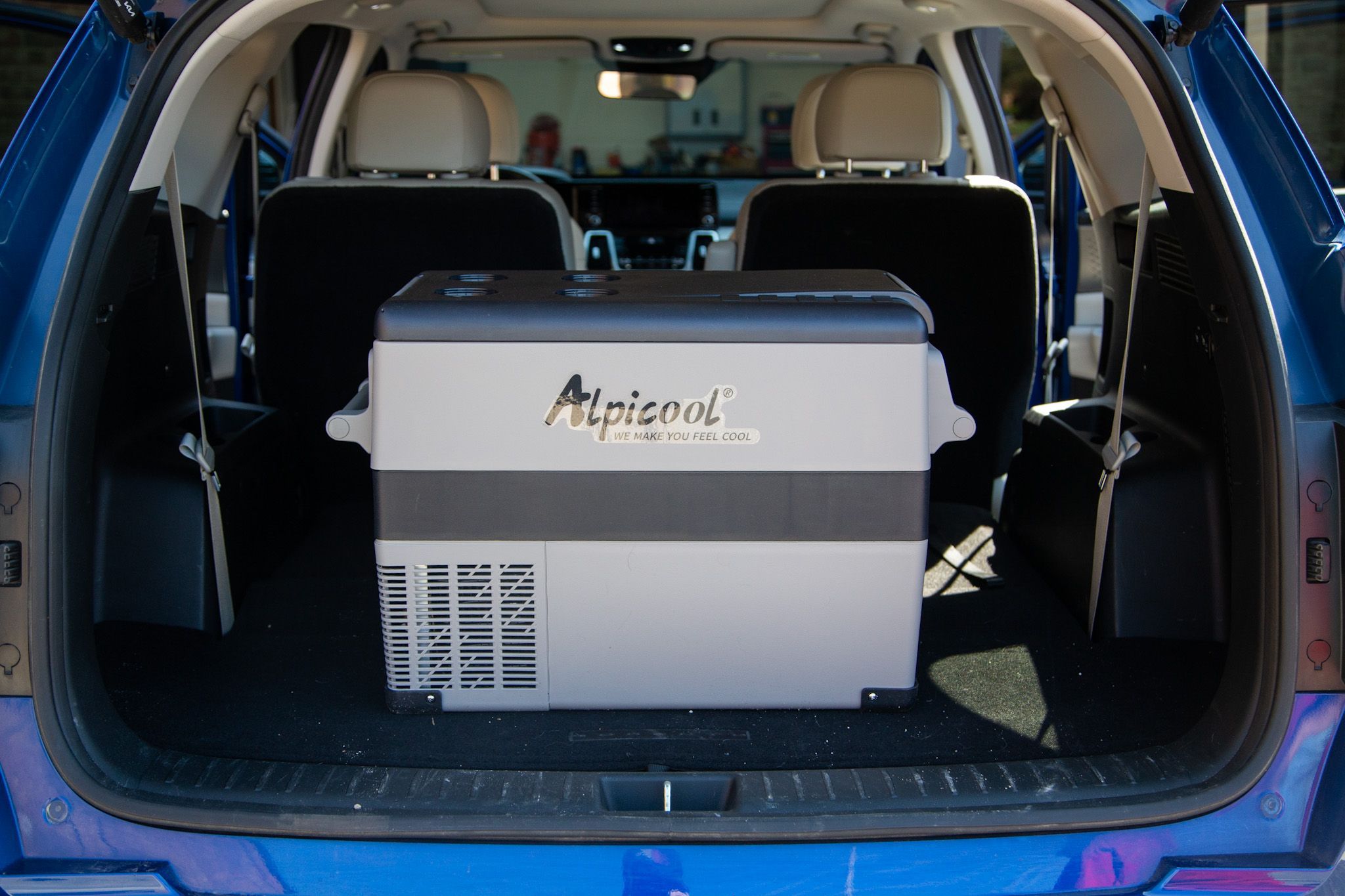 Powered cooler hot sale for car