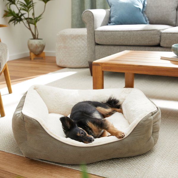 Ugg dog store bed large