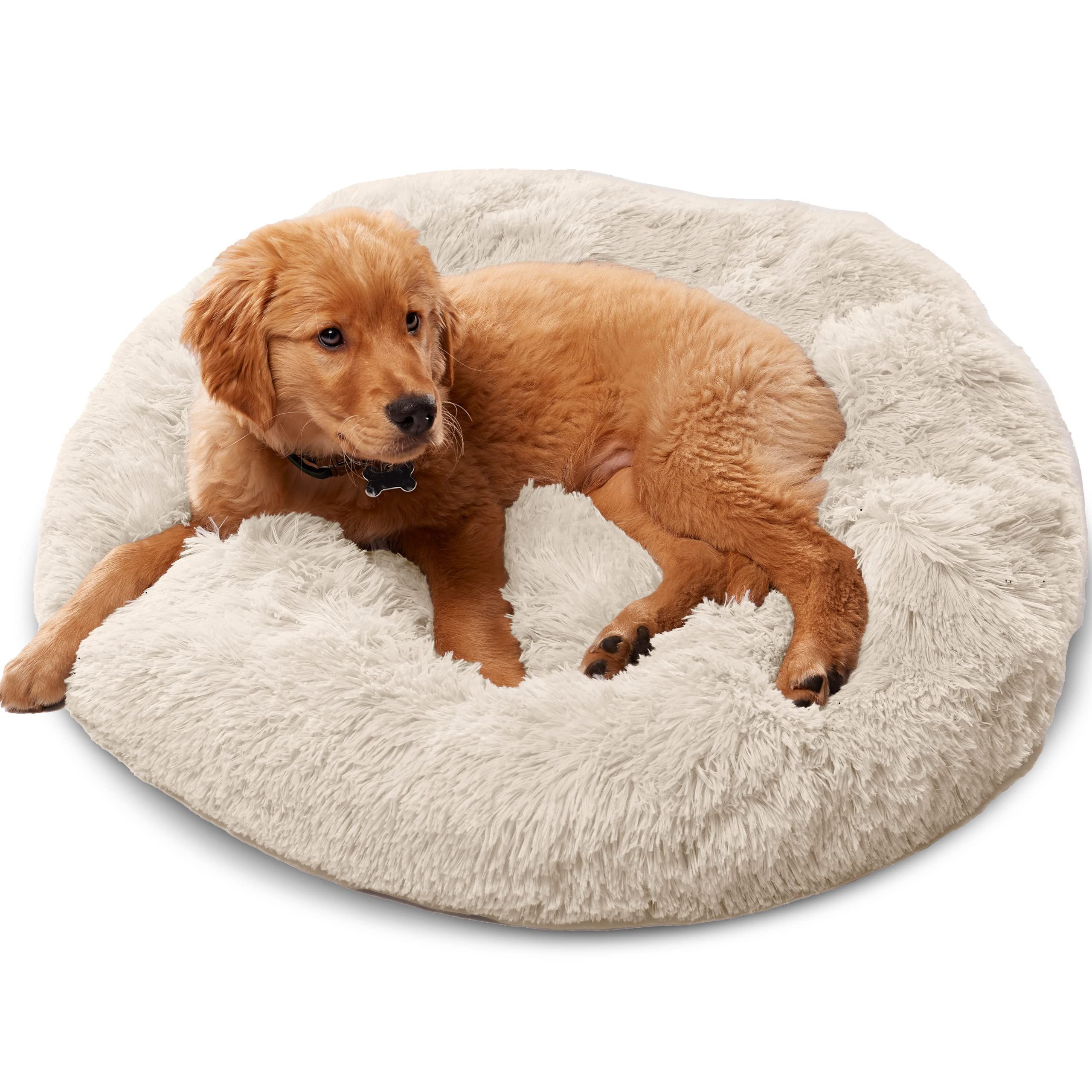 Best bed for 2024 golden retriever puppy