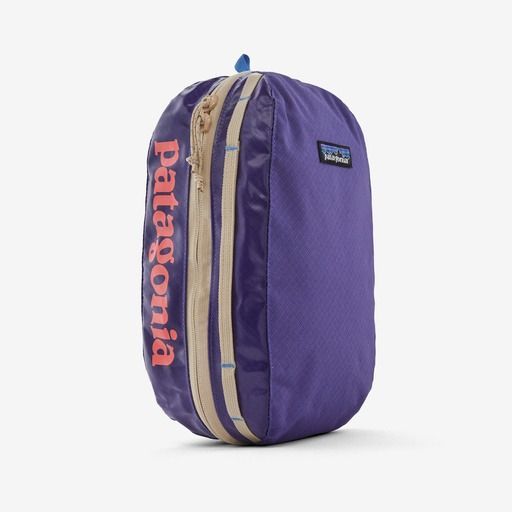 Patagonia best sale packing cube