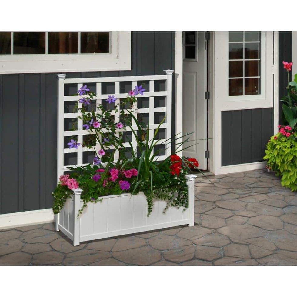 planter filler – Elizabeth Grace Gardens