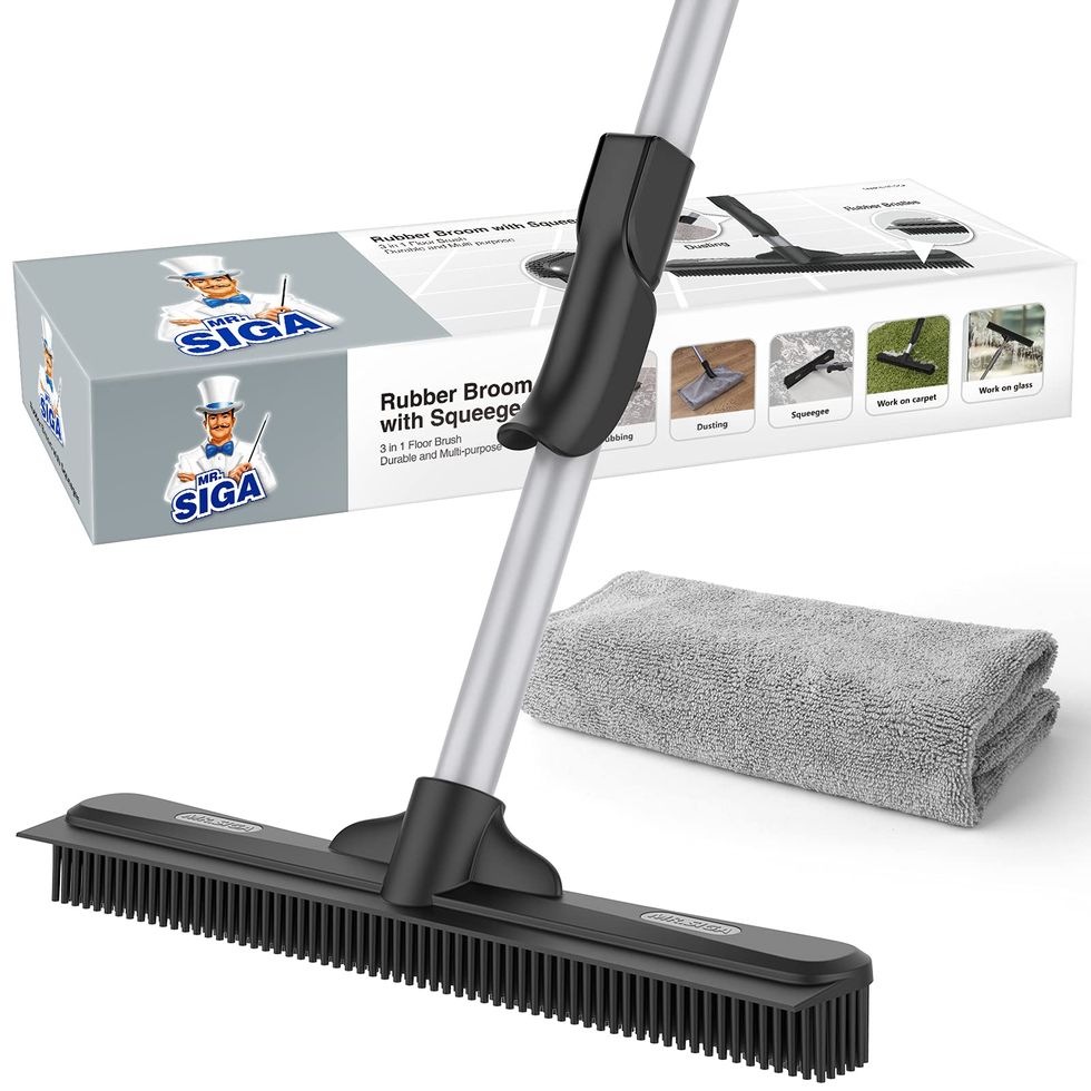 Mr. Siga Pet Hair Removal Broom Cyber Monday Sale
